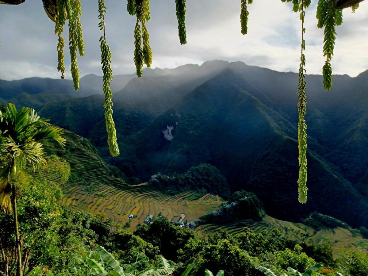 バナウェ Batad Countryside Bed & Breakfast エクステリア 写真